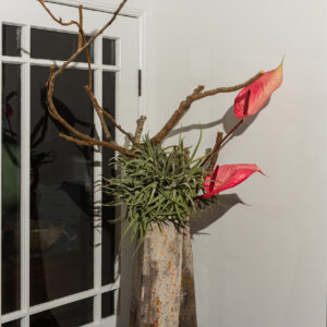 Vessels Promotion Shot 2602 Instagram